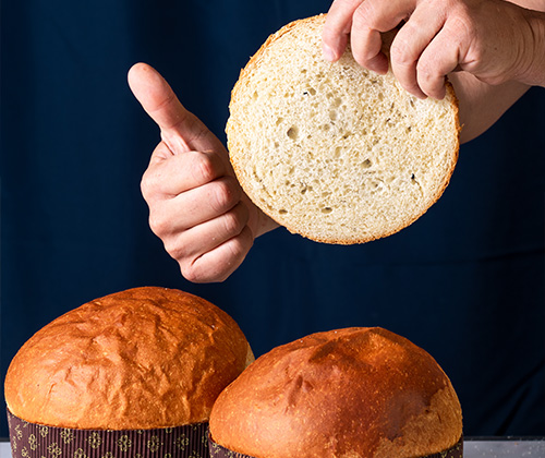 PAN BRIOCHE E HAMBURGER
