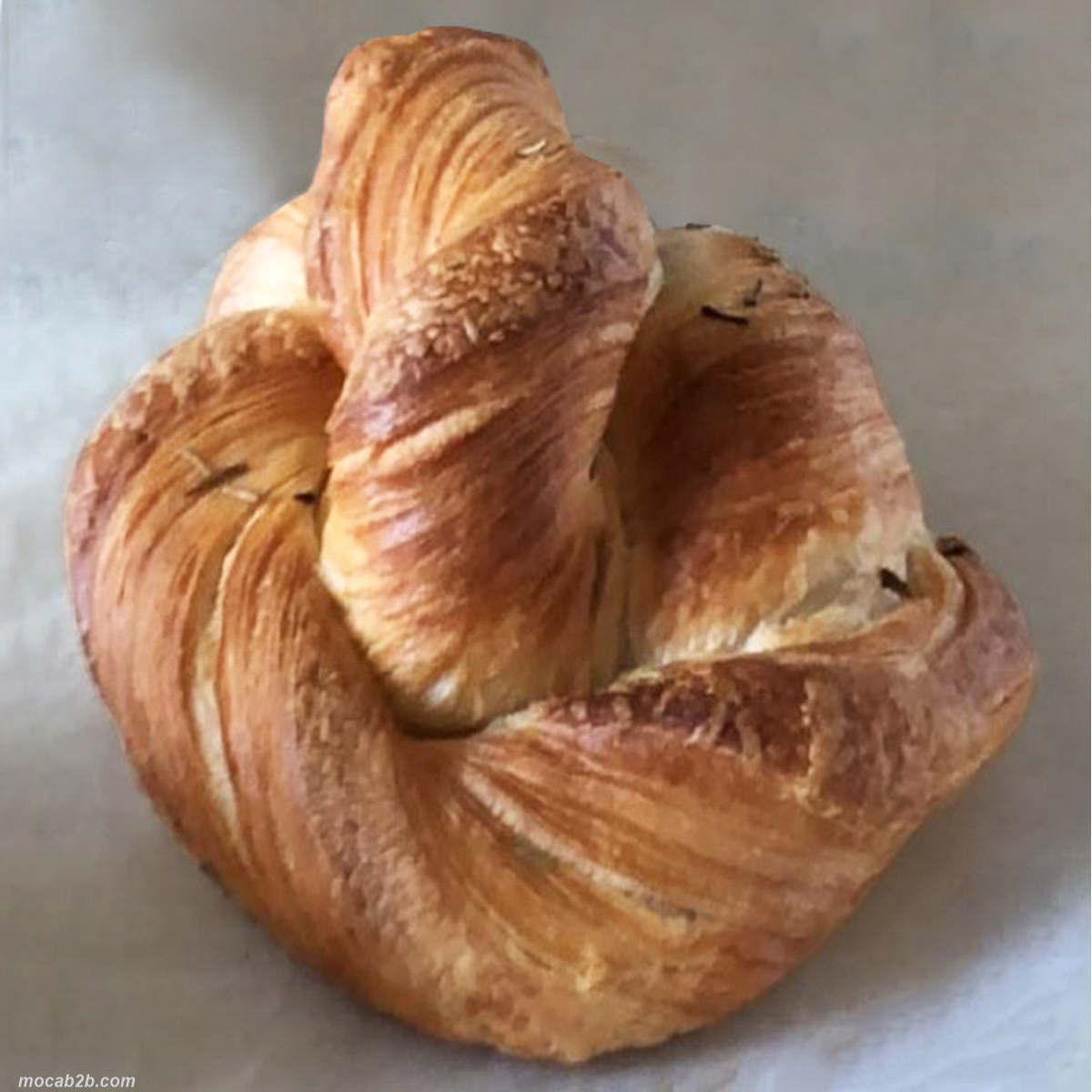 Prodotto da forno pronto da cuocere, realizzato con una ricetta ricca e fragrante. La ricciola è preparata con farina di grano tenero, lievito madre, miele, olio extravergine d’oliva e aromi naturali come pepe e rosmarino. Già pre-lievitata e surgelata, senza necessità di lievitazione è ideale per offrire un prodotto artigianale con il minimo sforzo in laboratorio. Basta cuocerla in forno preriscaldato a 180-190°C per circa 20/25 minuti. 