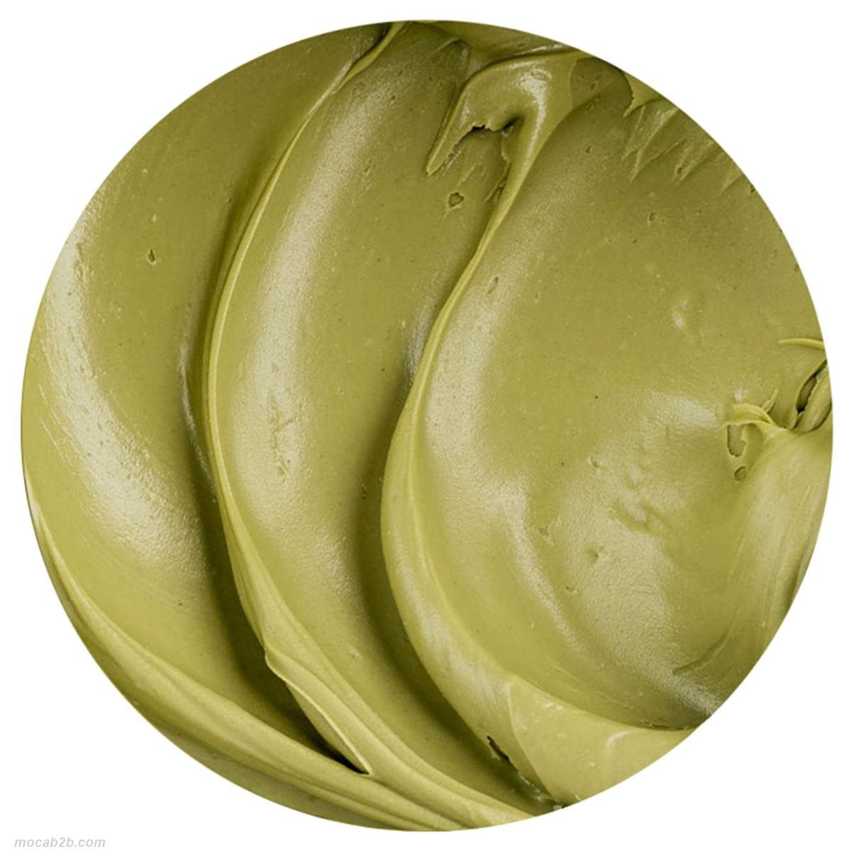Crema spalmabile al pistacchio con il 15% di frutta secca, pensata per un uso professionale in pasticceria e gelateria. Dal gusto intenso e avvolgente, è perfetta da utilizzare tal quale in farciture e decorazioni. Senza glutine 