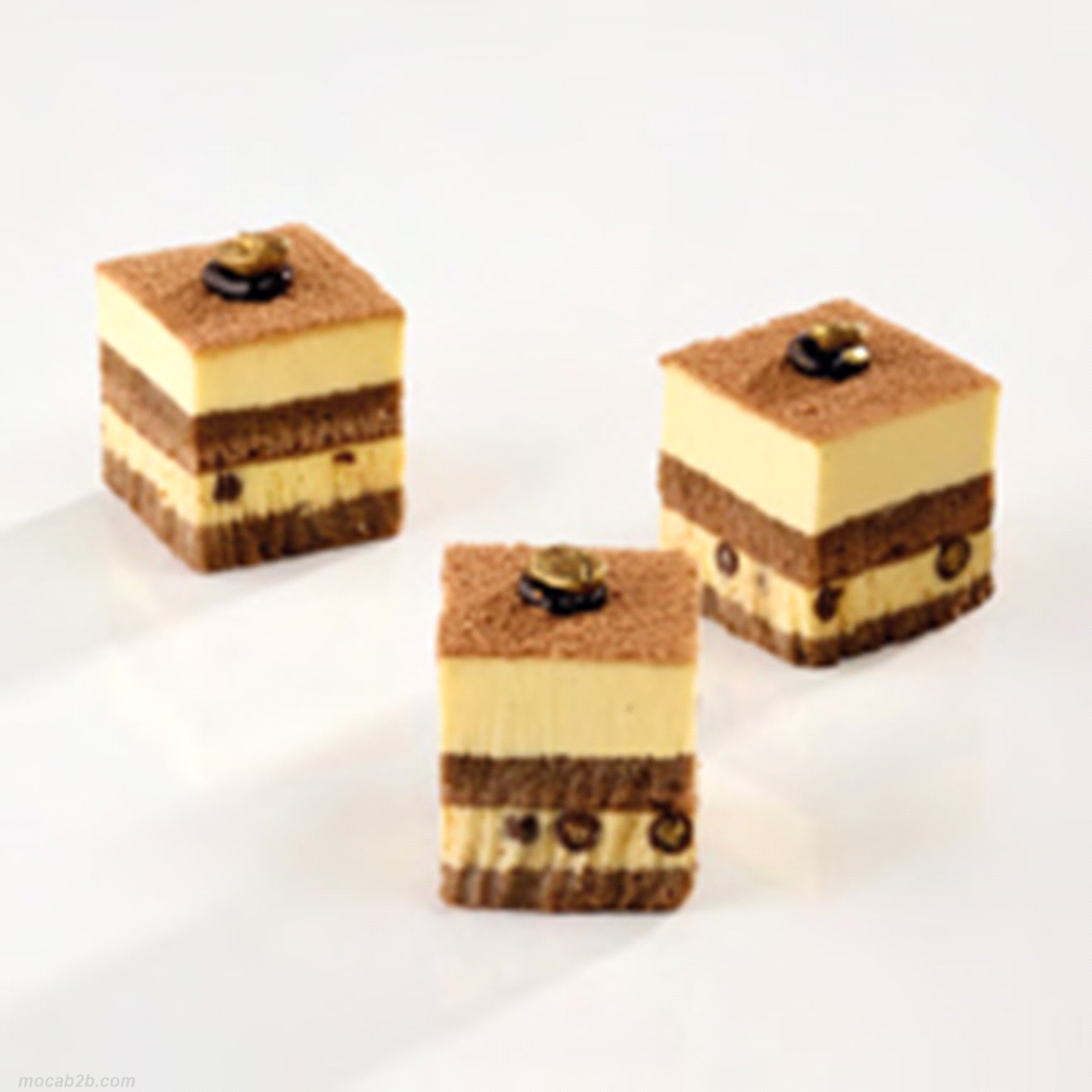 Savoiardo, bagna al caffè spresso, crema leggera al mascarpone e polvere di cacao in superficie. 