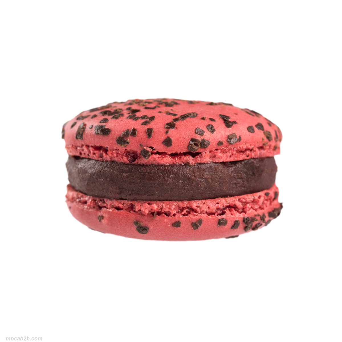 Macaral al lampone farcito con ganache al cioccolato fondente 