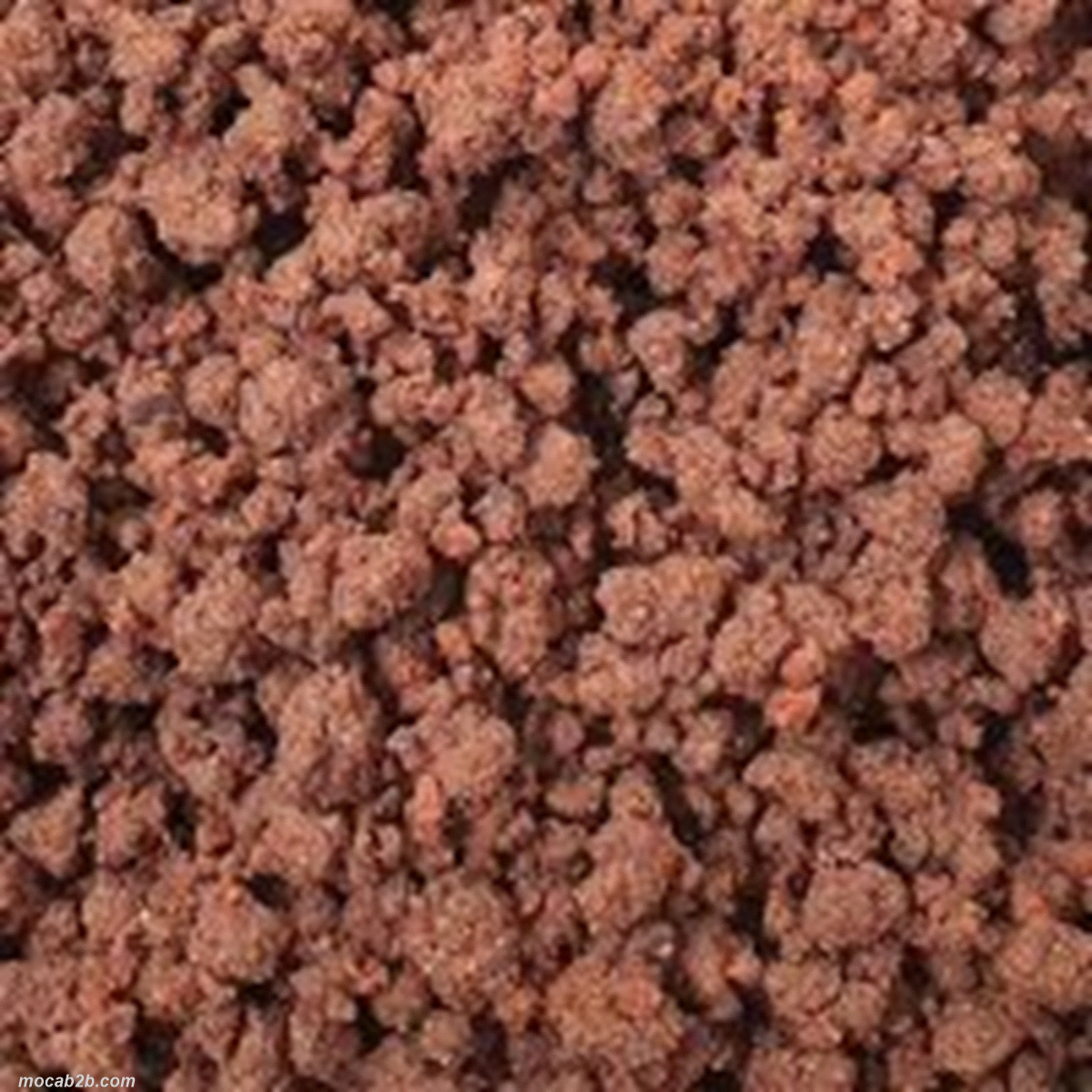 Crumble di biscotto al cacao senza glutine. Prodotto ottenuto dalla macinazione di biscotto al cacao, setacciato e alla fine ricoperto. 