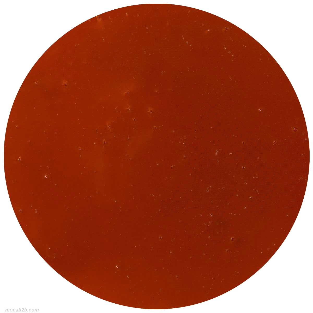 Pasta aromatizzante per realizzare un gelato dal gusto panna cotta. Dosaggio: 80/100gr di prodotto +1 litro di miscela base. ottima anche per semifreddi. 