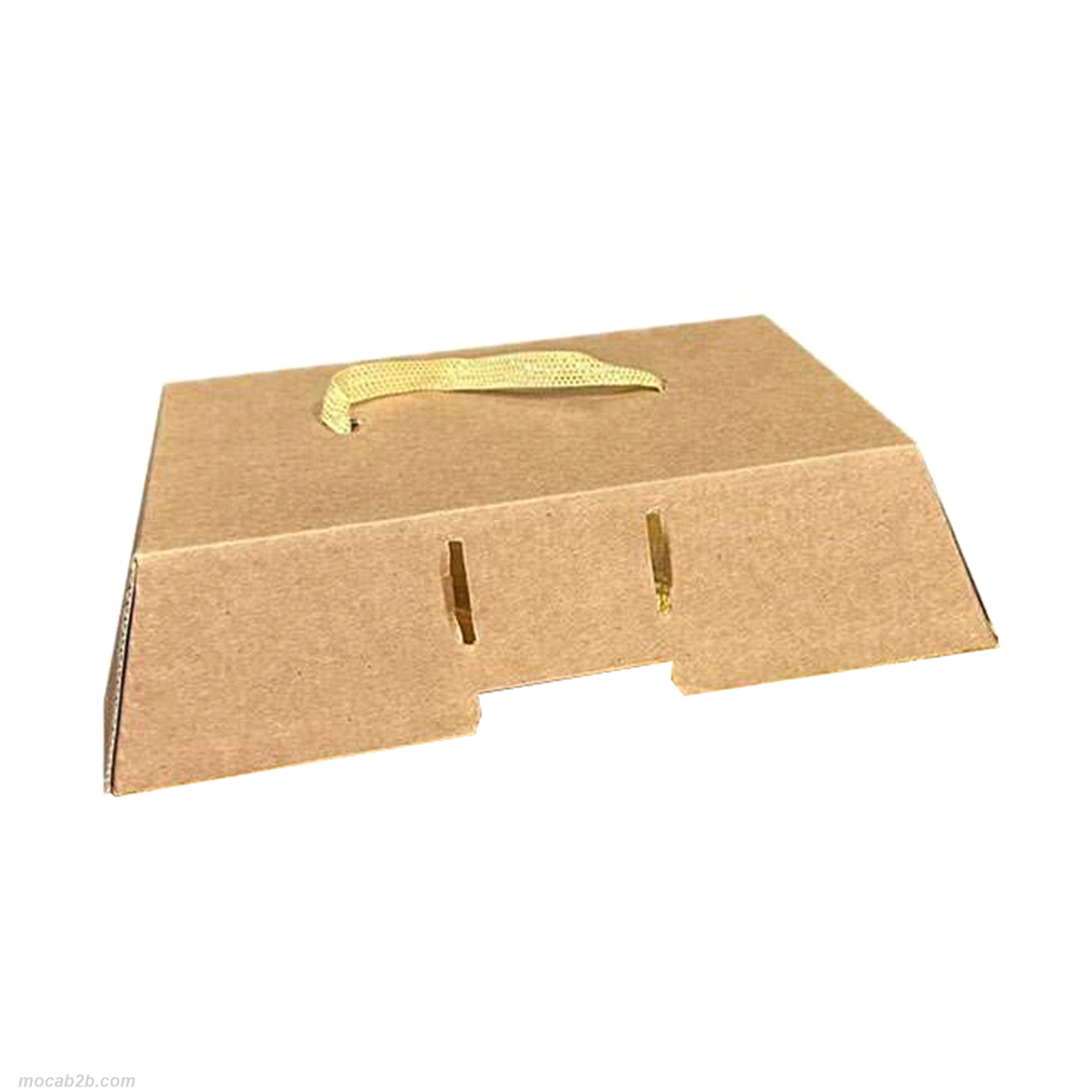 COPERCHIO PER  CAKEBAG 1 AVANA 