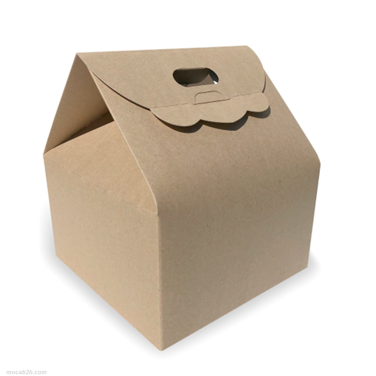 Descrizione articolo in fatturazione: P.PANETTONE ECOLIFE SACAMAIN25x25x16 ... 