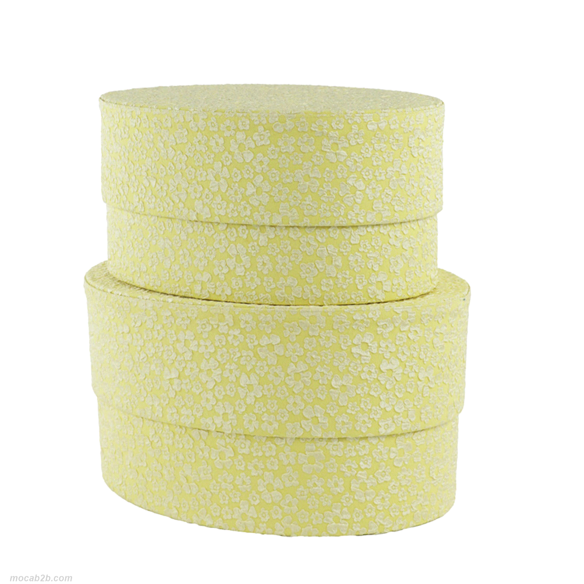 SET 2 BOX LES FLEURS GIALLO @23/@21 