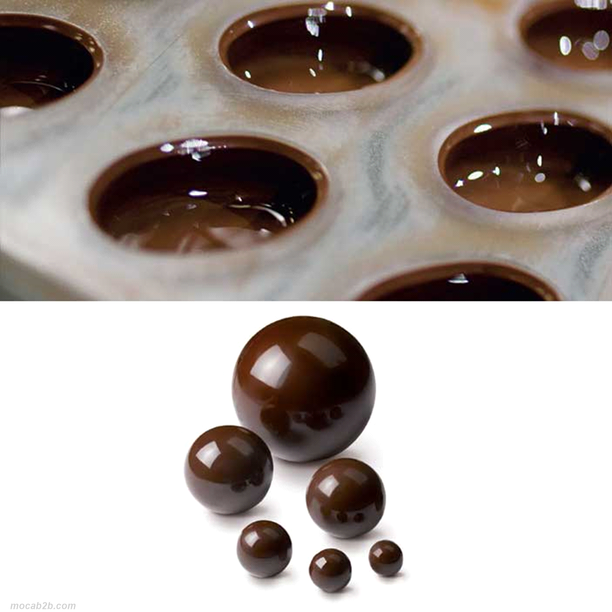 STAMPI SEMISFERE 5cm           BARRY 