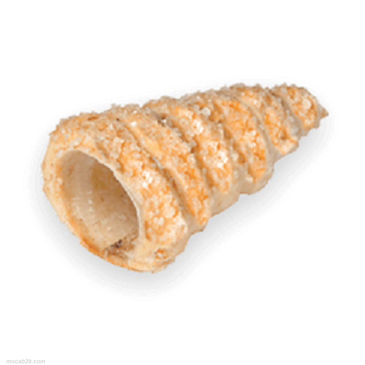 CANNOLI CONICI GRANDI x100pz CASSIB 