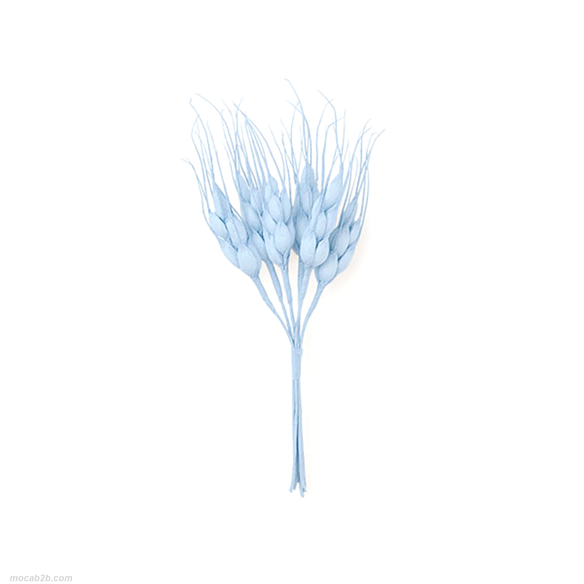 SPIGHE AZZURRO MAZZETTO h.14 x12pz 