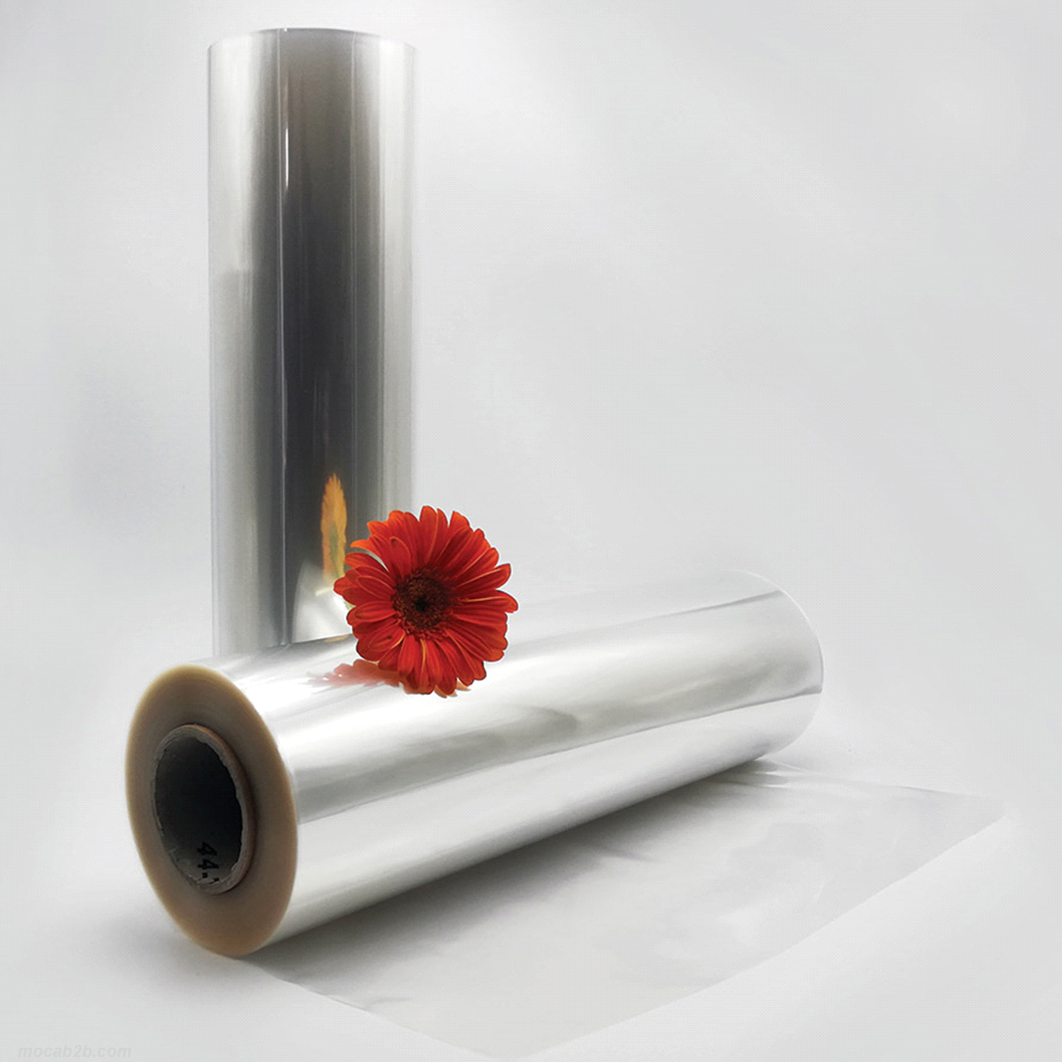Bobina stesa e monopiegata realizzata con film bot plain, di ottima trasparenza e brillantezza. Ultilizzata anche per confezioni regalo.Idonea al contatto con gli alimenti. 