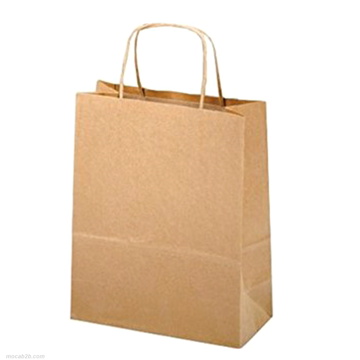 BORSA FOR CAKES AVANA 25x25x30 