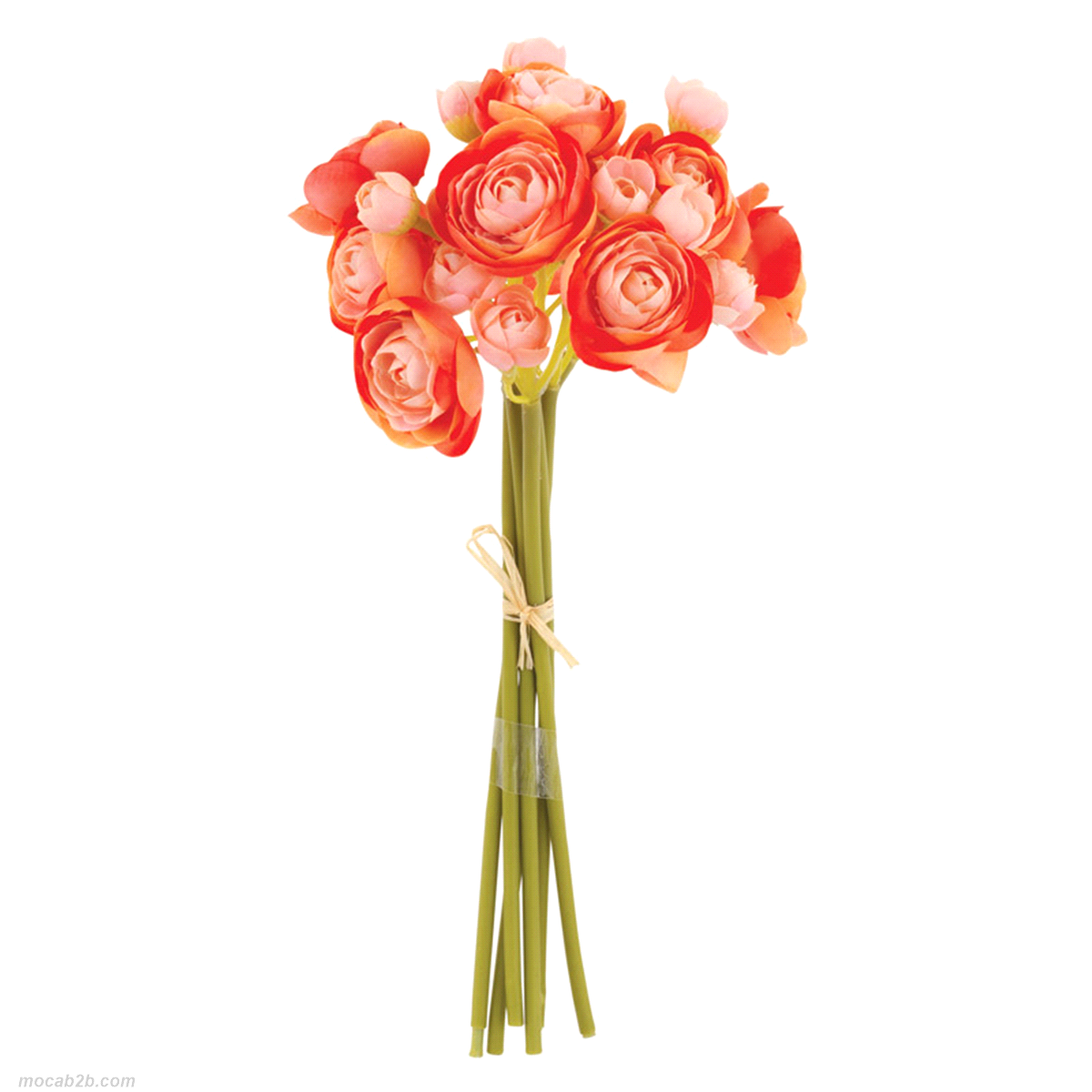 MAZZO 6 RANUNCOLI FUXIA h.27cm 