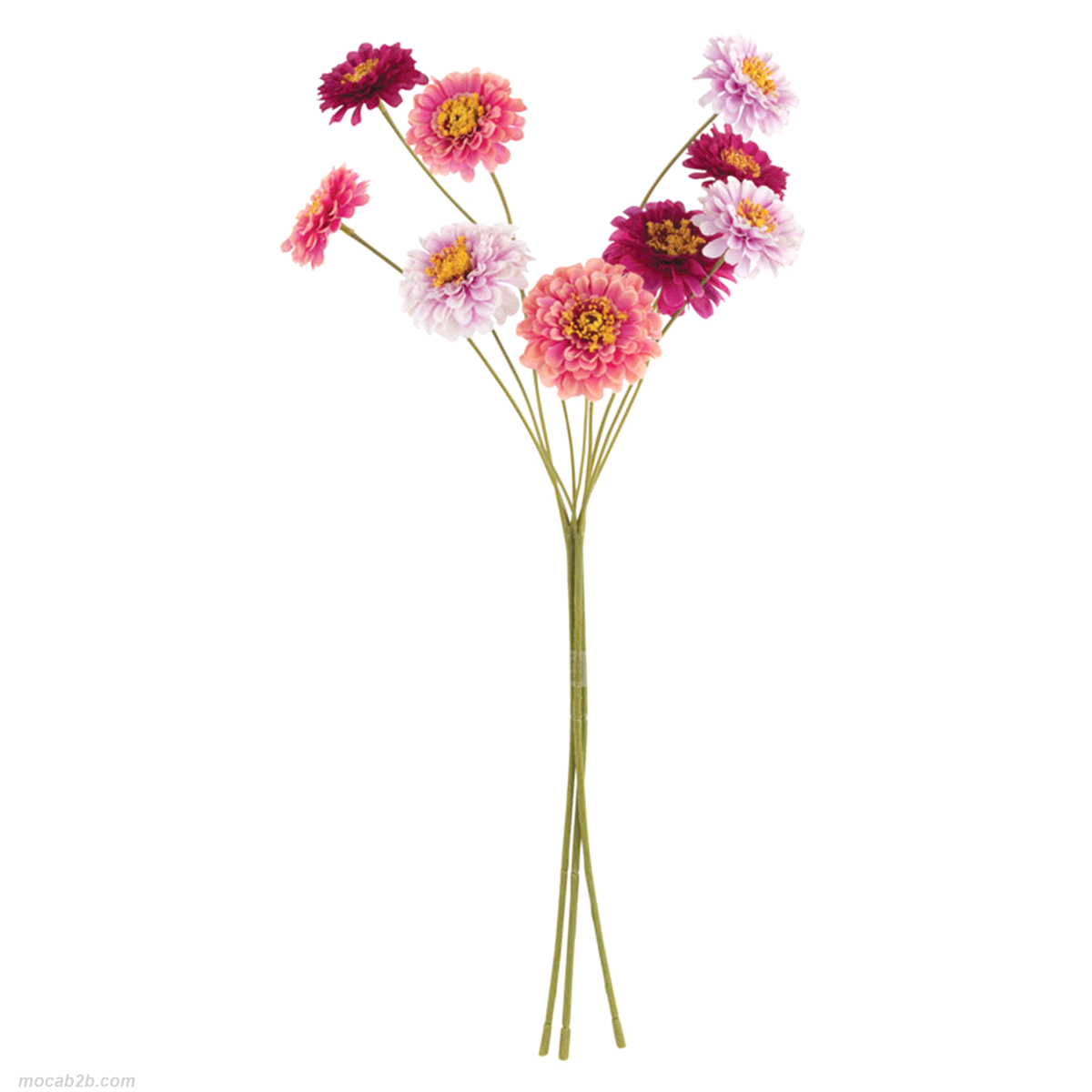 MAZZO 9 FIORI ZINNIA ROSA/FUXIA h.58 