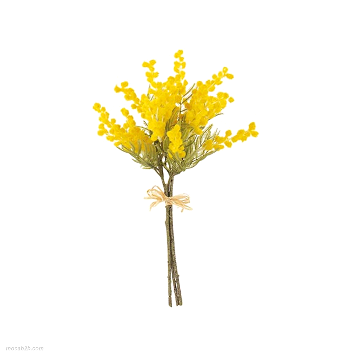 MIMOSA MAZZO 3 RAMETTI  h38 