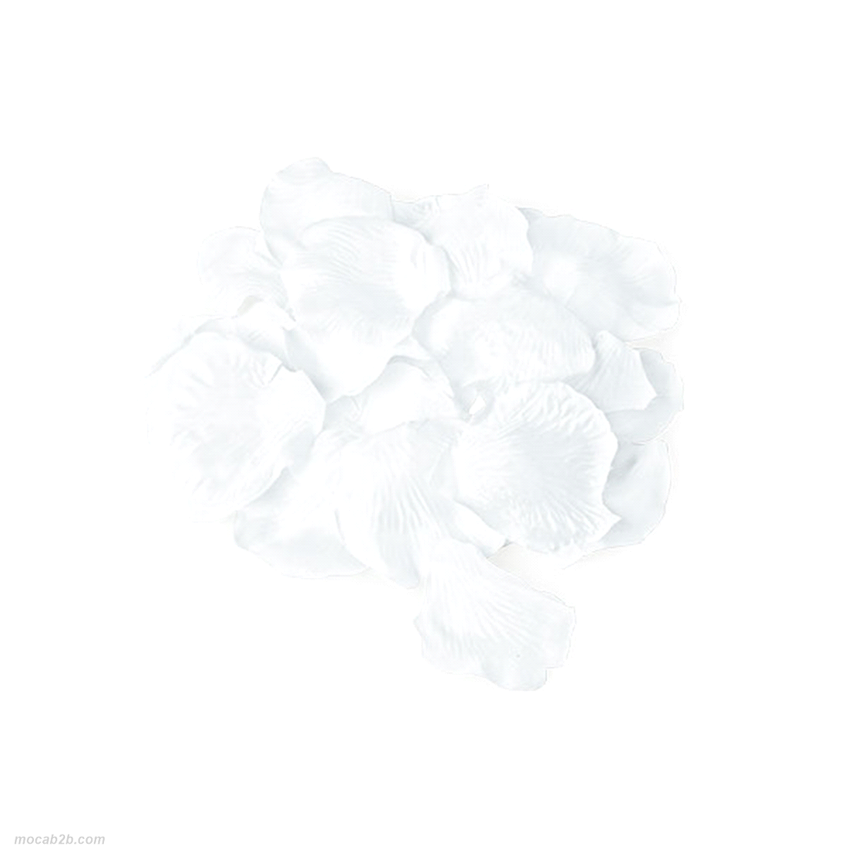 PETALI BIANCHI x288pz 