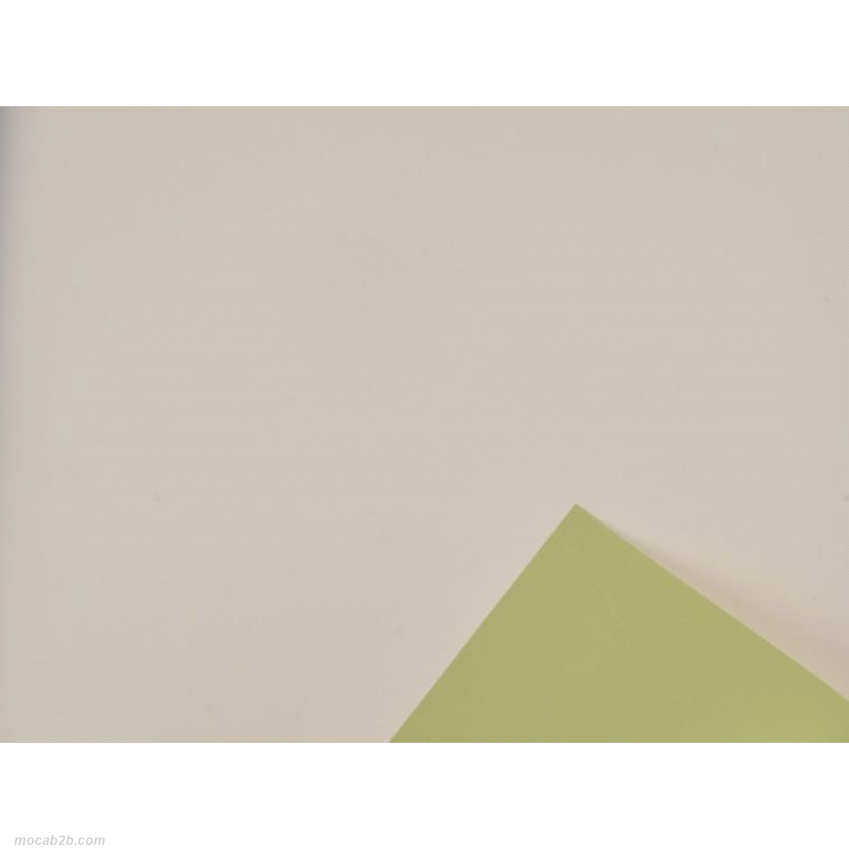 BOBINA SATINATO SALVIA/PANNA 1x25mt 