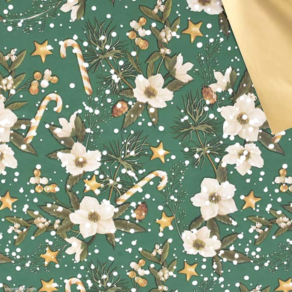 Non adatta al contatto diretto con gli alimenti. 