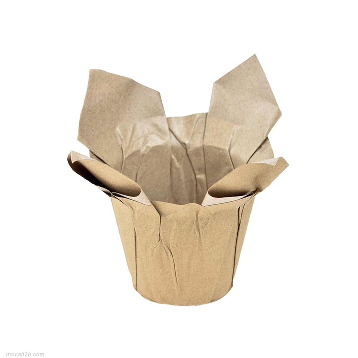 COPRIVASO CARTA NATURE @45 h52x12pz 