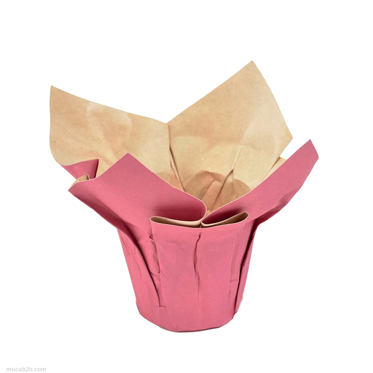 COPRIVASO CARTA FUXIA @58 h62x12pz 