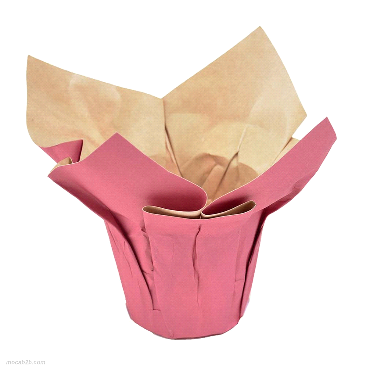 COPRIVASO CARTA FUXIA @94h94x12pz 