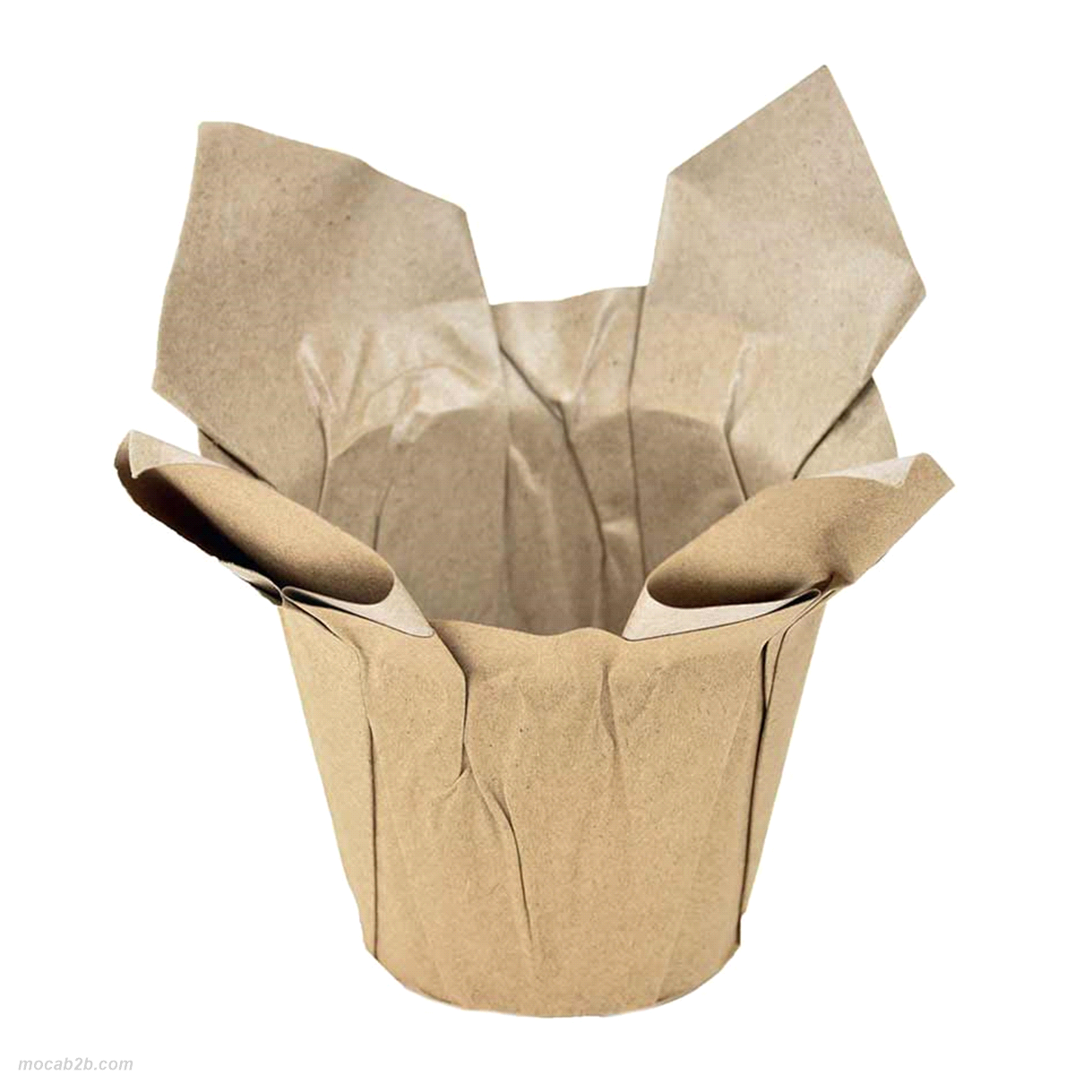 COPRIVASO CARTA NATURE@94h94x12pz 