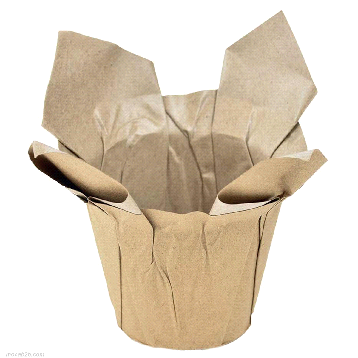 COPRIVASO CARTA NATURE@115h122 x12pz 