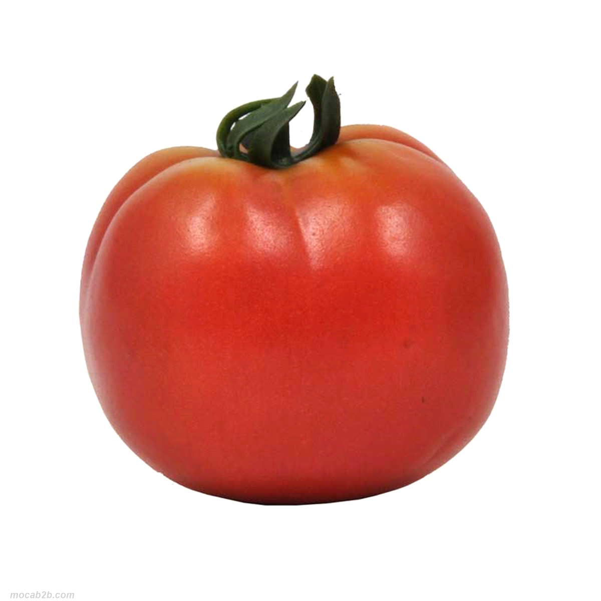 POMODORO ROSSO PLASTICA 7cm 