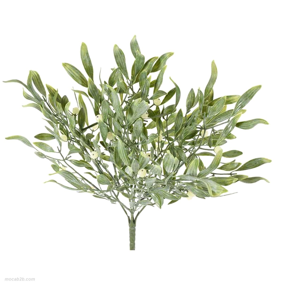 VISCHIO VERDE MAZZO h36 