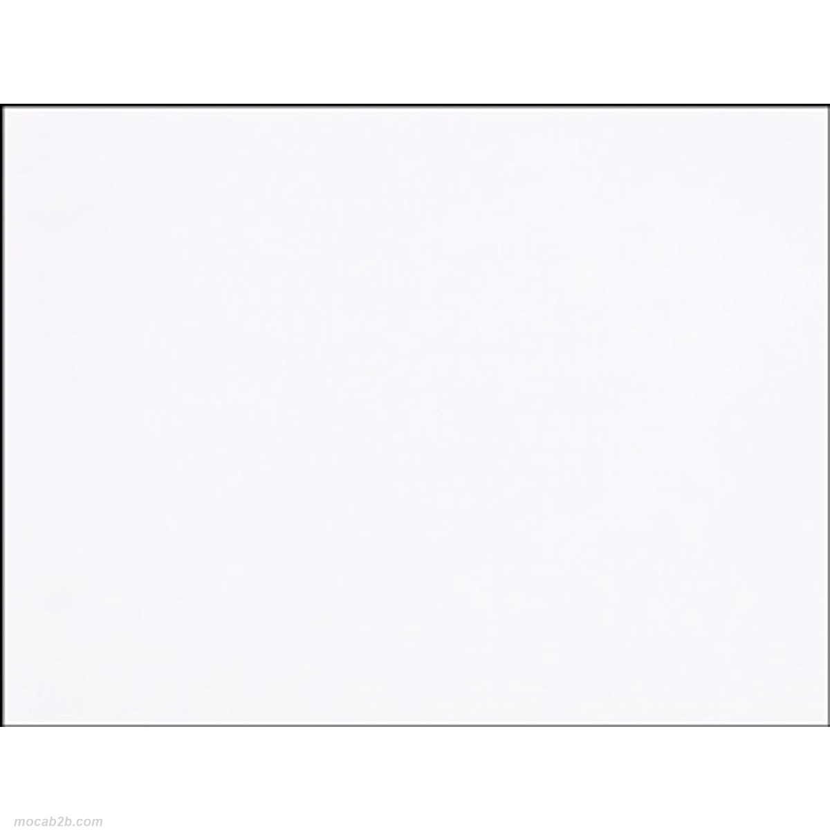 BOBINA ORGANZA BIANCA 48cmx20mt 