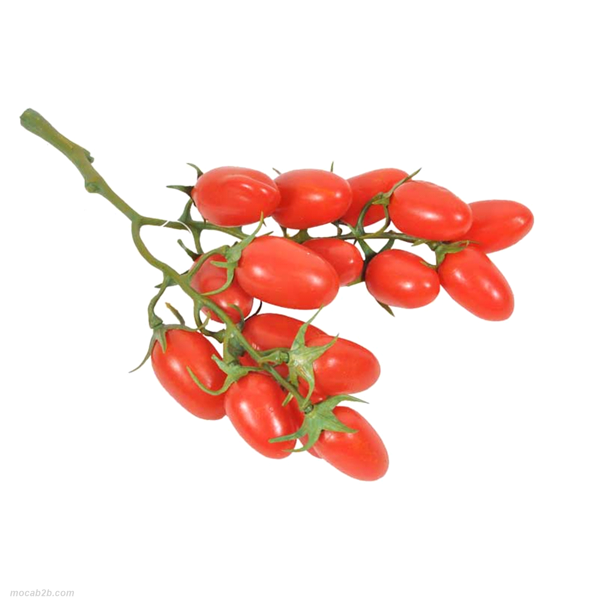 POMODORINI GRAPPOLO PLASTICA 12cmDAR 