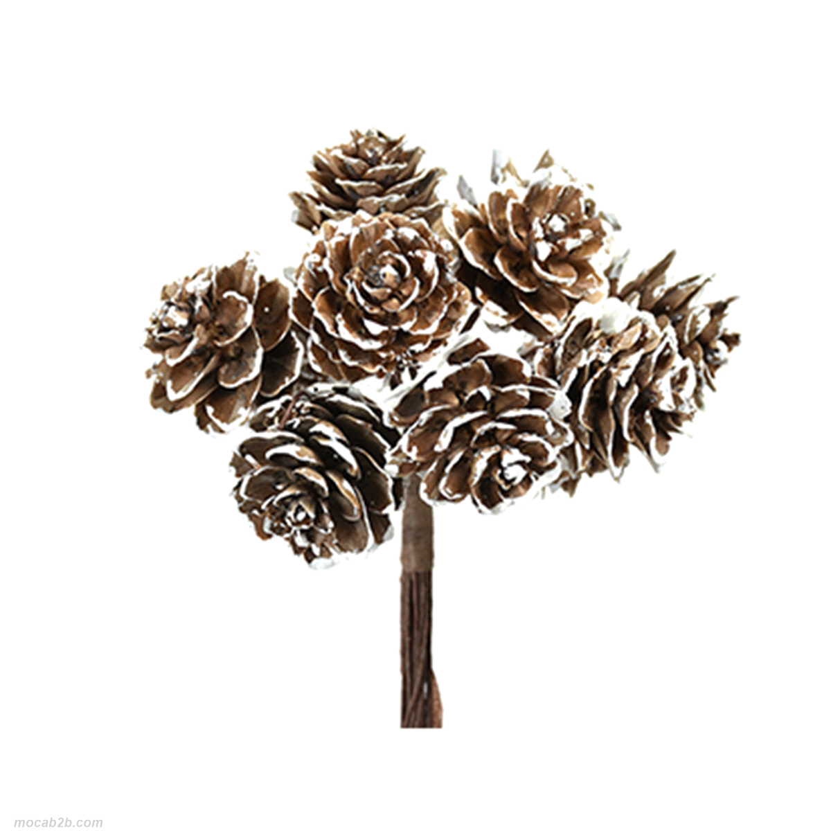 CONI DI PINO INNEVATI h11x 6mazzi 