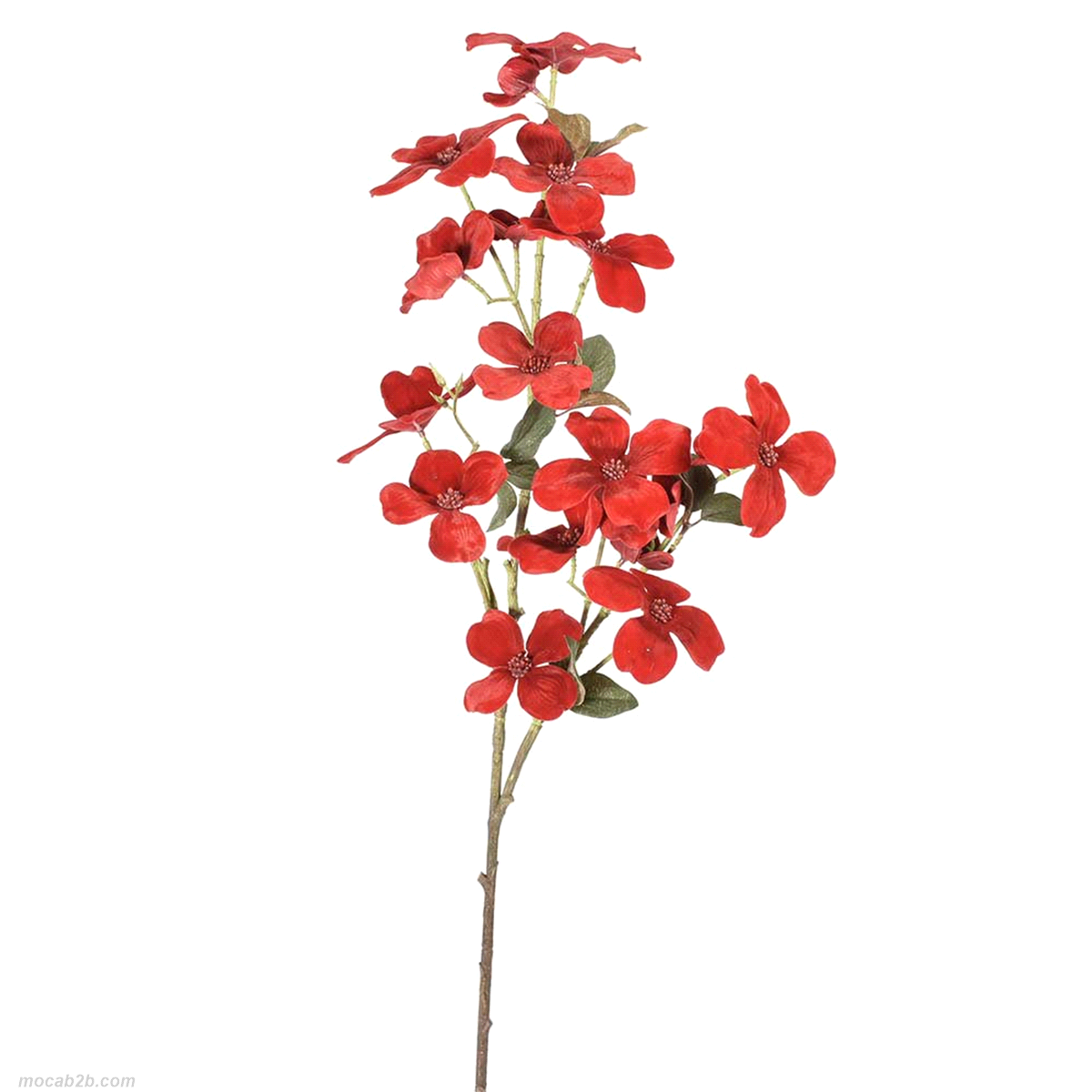 CORNIOLO RAMO ROSSO VELL.91cm (12) 