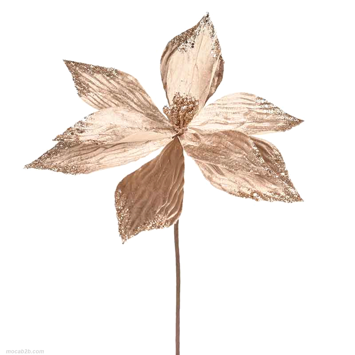 STELLA NATALE ORO ANTICO30cm x6pz(8) 