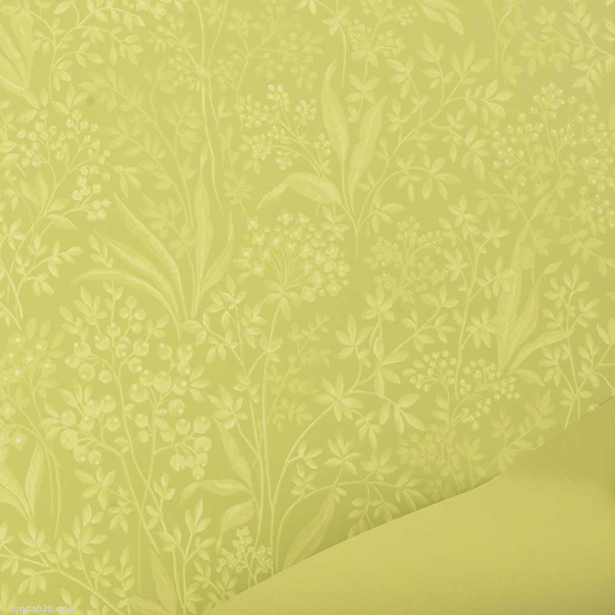 Non adatta al contatto diretto con gli alimenti. 