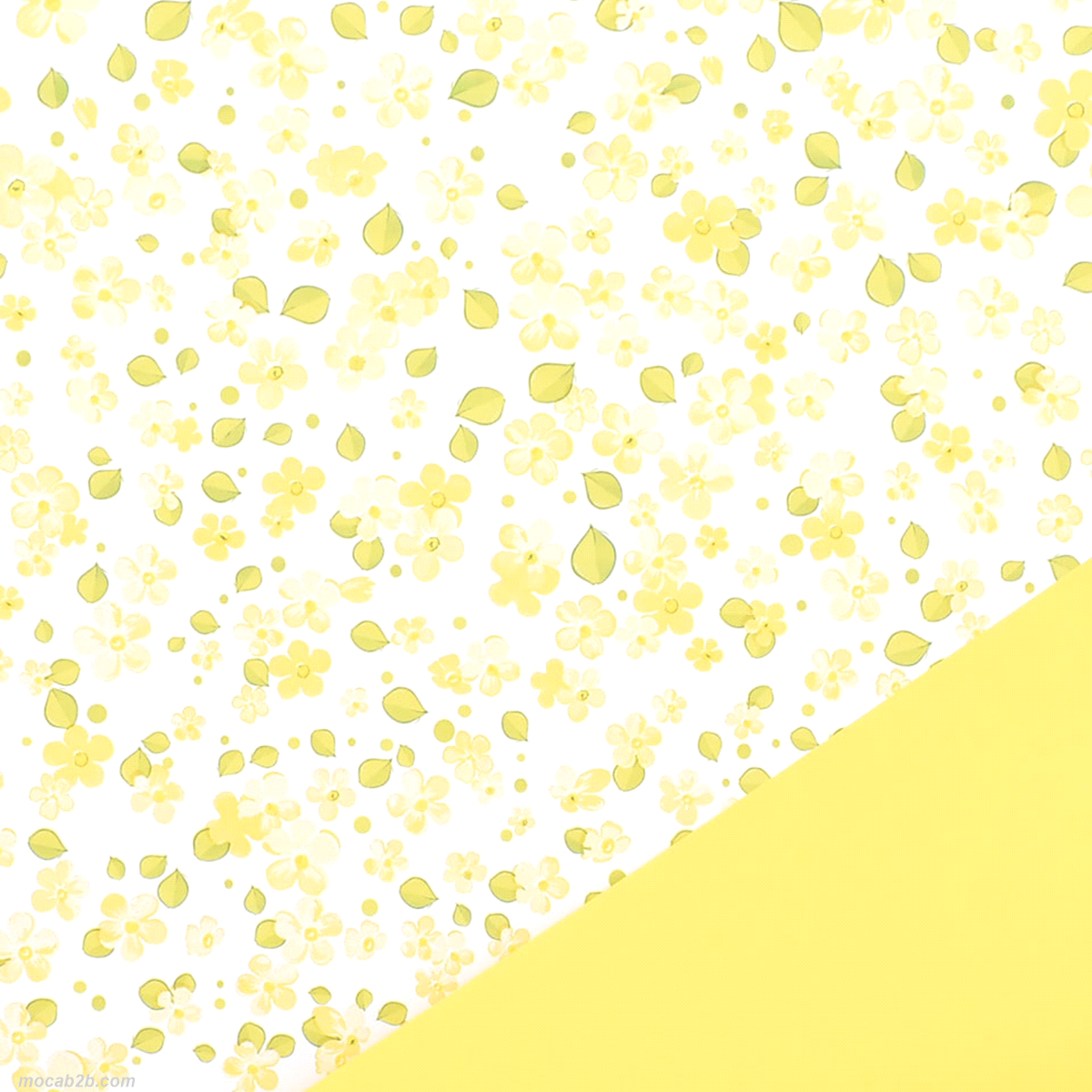 Non adatta al contatto diretto con gli alimenti. 