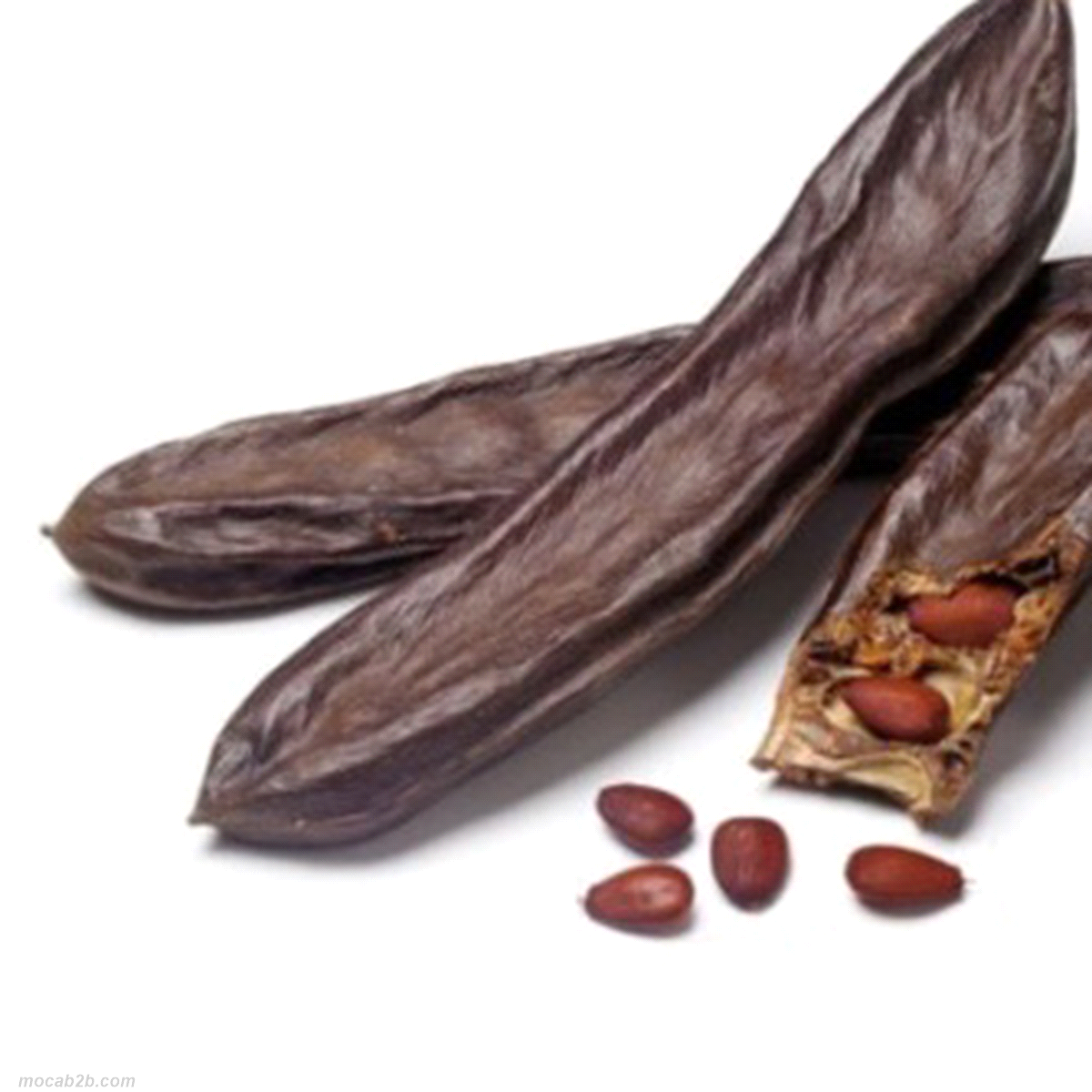 FARINA DI CARRUBE E410 C x1Kg 