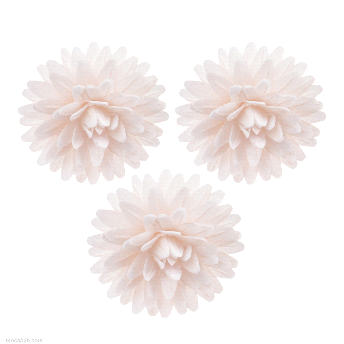 Fiori in wafer bianchi.Adatto ai vegetariani, Coloranti naturali, Senza e171, Senza glutine, Senza lattosio, Senza proteine del latte, Senza zuccheri aggiunti. 