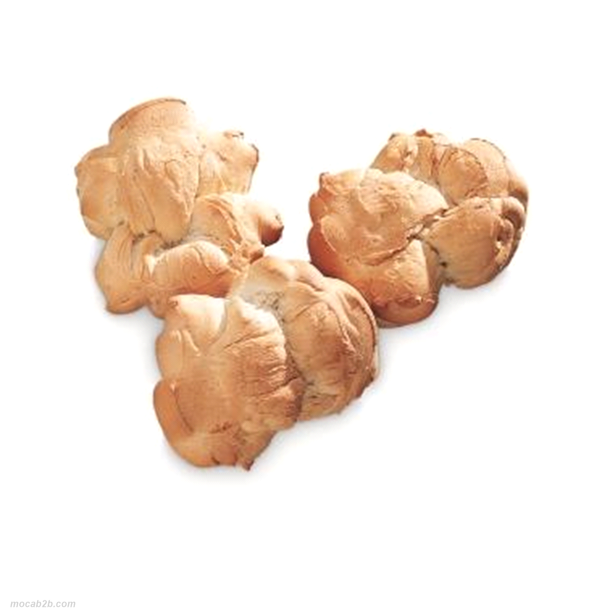 Lievito naturale di farina di grano tenero in polvere, per prodotti ad impasto indiretto. 
Vantaggi: conferisce al prodotto finito sapore, profumo, croccantezza e conservazione tipica di un pane tradizionale mediterraneo prodotto con lievito naturale. Ottimo come stabilizzante per la produzione di bighe.
APPLICAZIONI: Pasta dura, filone marchigiano, pane pugliese.
DOSAGGIO: 5%
 