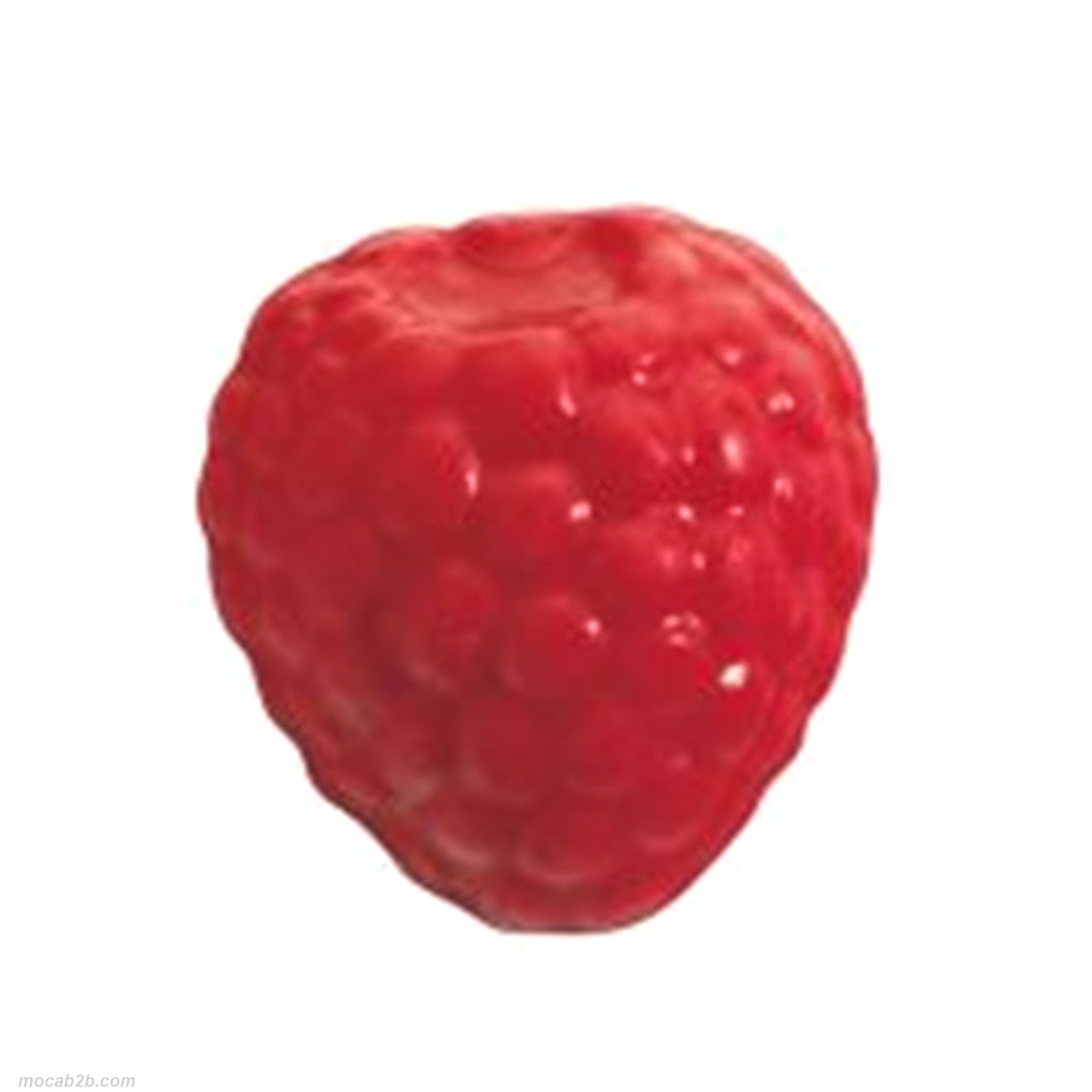 Cioccolato bianco. Lunghezza: 31 mm.Larghezza: 25 mm.Spessore: 10 mm . 