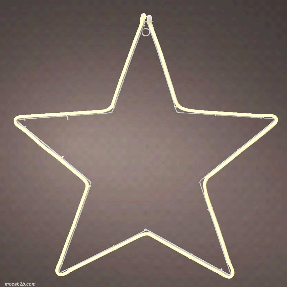 Stella bianca a neon bianco caldo da esterno -  diametro 57cm. 