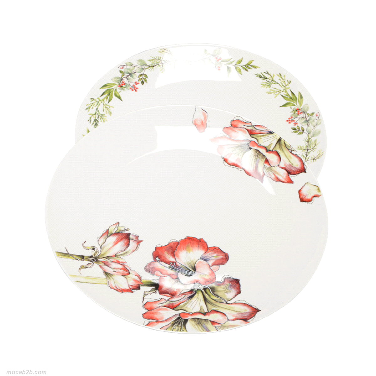 PIATTI BIANCHI FIORE ROSSO(B)@26x2pz 