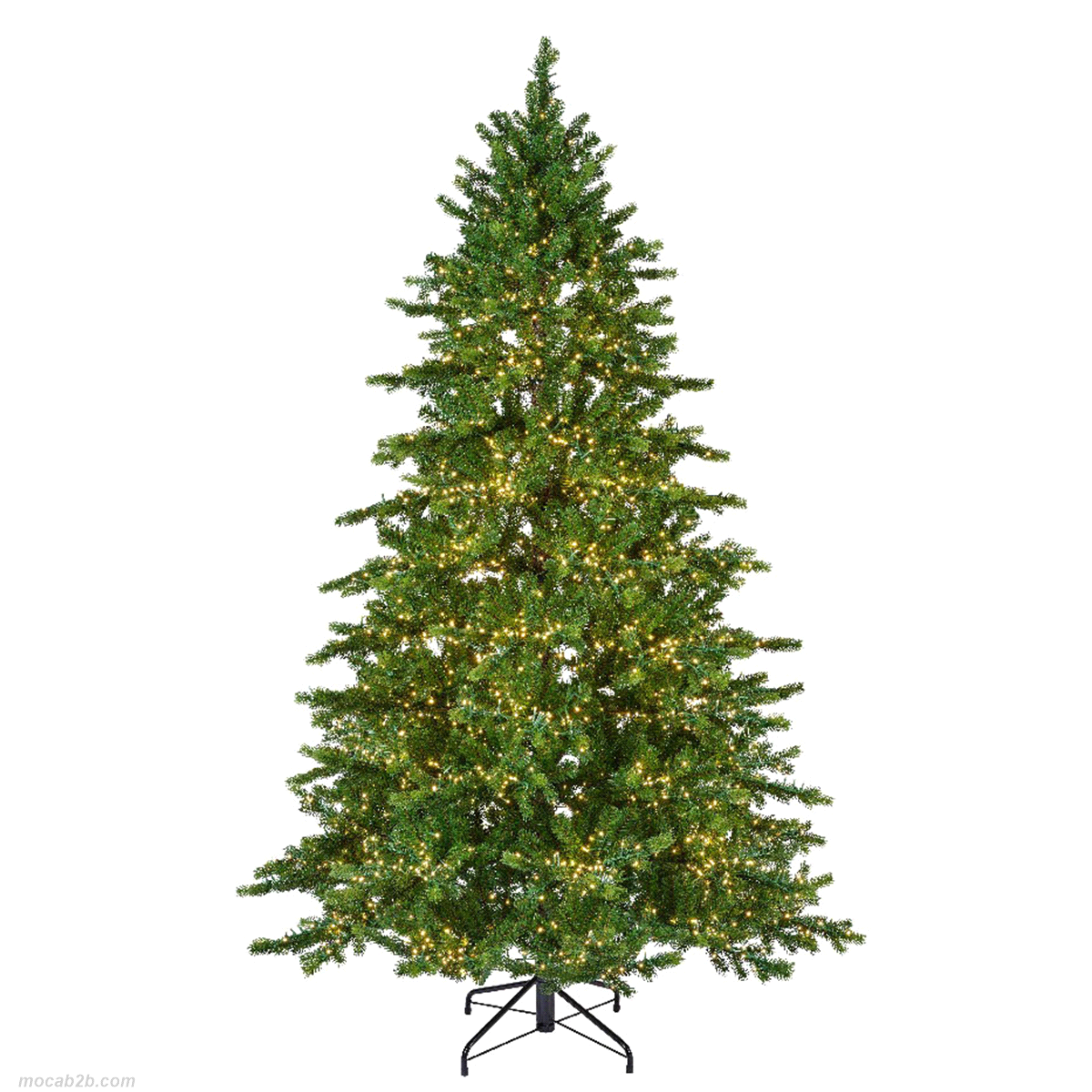 Abete di galloway verde con led bianco caldo da interno. Misure: diametro 130cm. h. 210cm. 