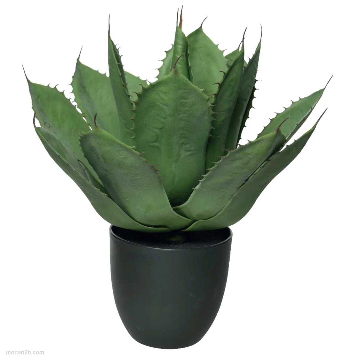 AGAVE VERDE C/VASO 46xh.57cm 