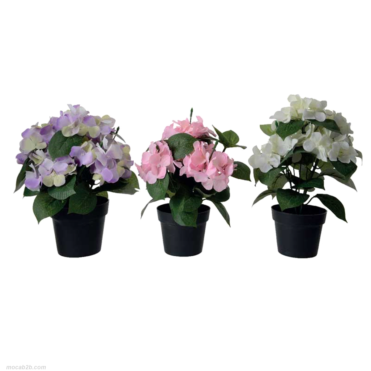 HYDRANGEA BIA/ROSA/LAV 15x15x24x3pz 