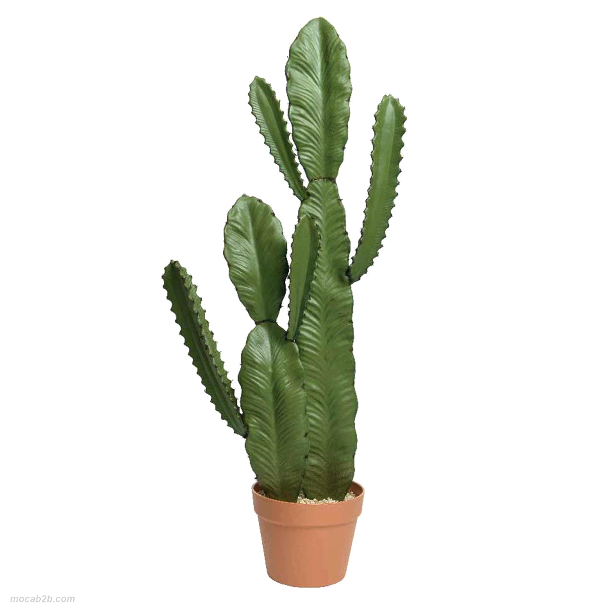 cactus verde c/vaso plastica 31x33x h.85cm 