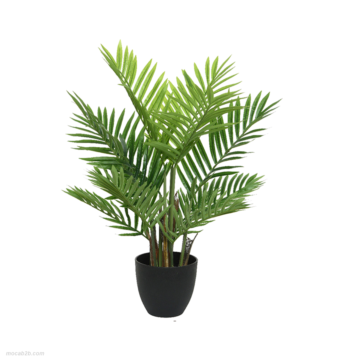 Pianta palma verde in plastica decorativa in vaso di plastica. Dimensioni: 61x61 h. 73cm. 