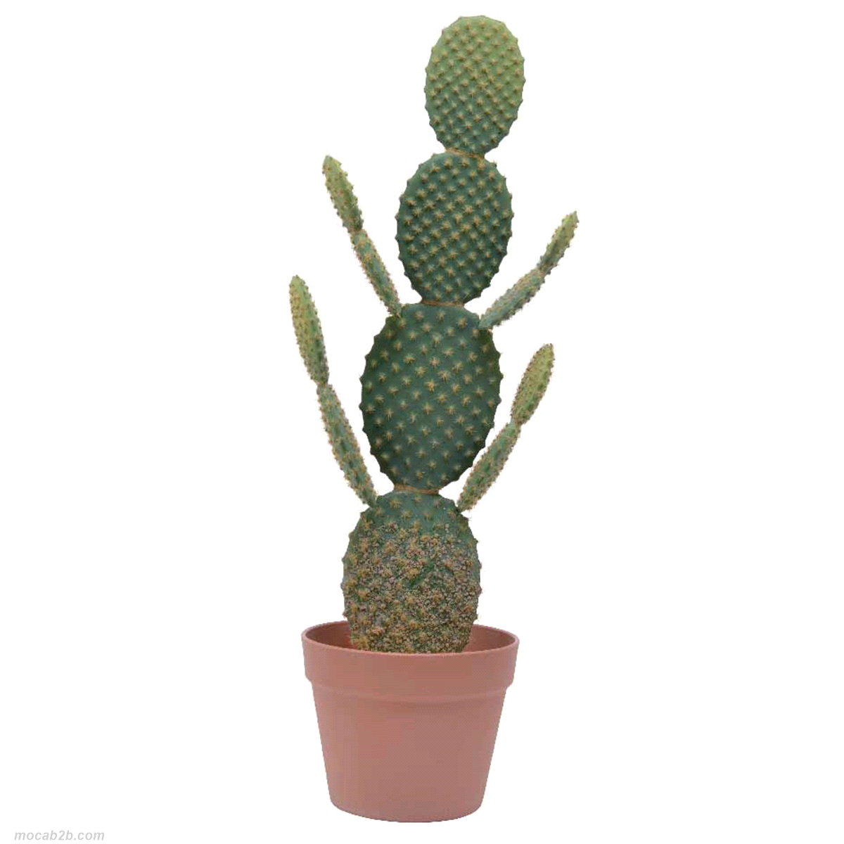 CACTUS VERDE C/VASO @18x18h63 