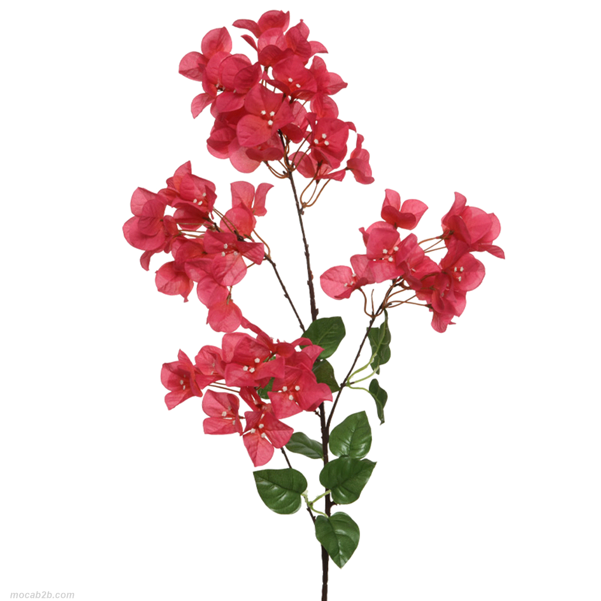 RAMO BOUGANVILLE FUCSIA h. 100cm 