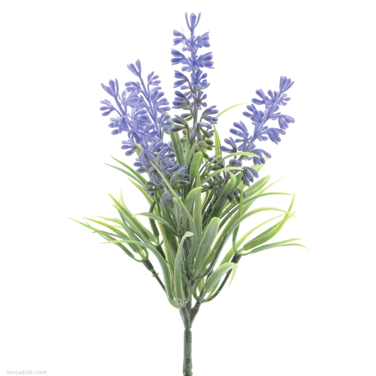 LAVANDA MAZZETTO C/4 FIORI 7x7x26 