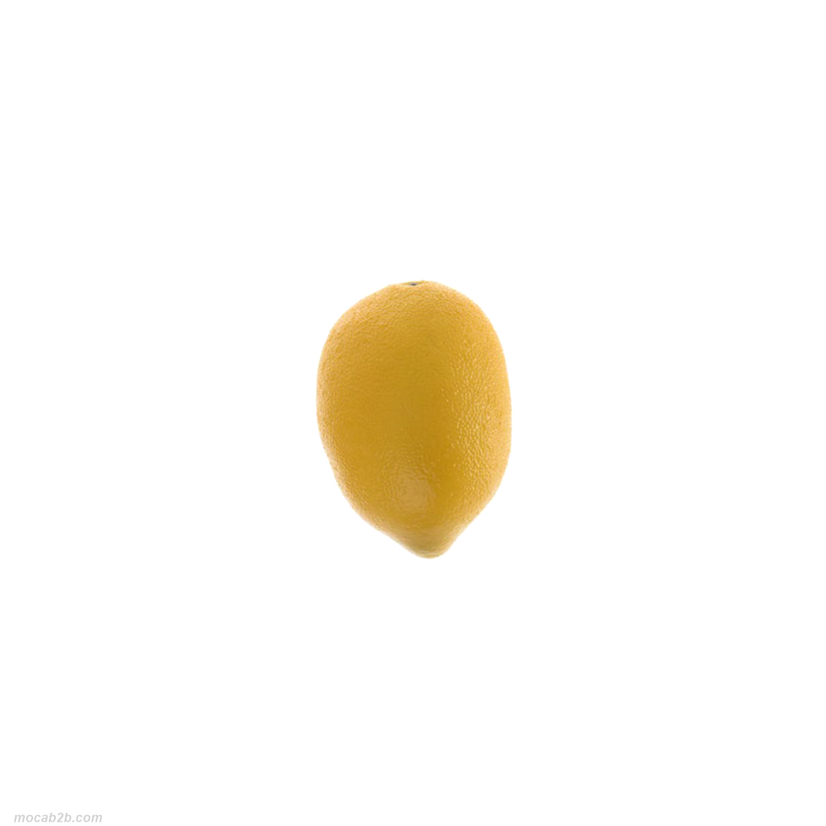 LIMONE GIALLO PLASTICA @6x9 